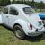 1969 Volkswagen Beetle - Classic Coupe