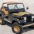 1980 Jeep CJ 5 - Golden Eagle Theme