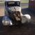 Hotrod project Ford with V5