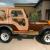 1979 Jeep CJ