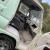 1965 Dodge A100
