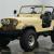 1981 Jeep CJ