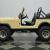 1981 Jeep CJ