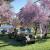 1953 Willys