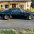1978 Pontiac Trans Am SE Y82 w Hurst T-tops Bandit SE