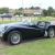 Triumph TR3A 1959 “Raffles” #449 Arrow Works 07706 333 444