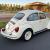 1979 Volkswagen Classic Beetle (Pre-1980)