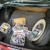 1955 Dodge Other