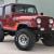 1984 Jeep CJ Renegade