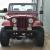 1984 Jeep CJ Renegade
