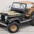 1980 Jeep CJ 5 - Golden Eagle Theme