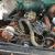 1968 GMC Other
