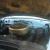 1954 Lincoln Other