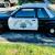 1989 Ford 1989 Ford Mustang Highway Patrol LX SSP (5.0L V8, 5-speed)