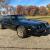 1979 Pontiac Trans Am Y84 Special Edition 140+ PICTURES and VIDEO