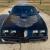 1979 Pontiac Trans Am Y84 Special Edition 140+ PICTURES and VIDEO