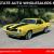 1969 Chevrolet Camaro SS396•Daytona Yellow•