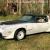 1980 Pontiac Trans Am 500 Festival Indy Pace Car