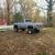 1982 Chevrolet Other Pickups