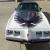 1980 Pontiac Firebird Trans-Am Turbo Indy Pace Car