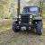 1951 Willys