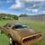1979 Pontiac Firebird