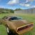 1979 Pontiac Firebird