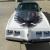 1980 Pontiac Firebird Trans-Am Turbo Indy Pace Car