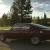 1967 Plymouth Barracuda Chrome