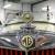 1951 MG T-Series