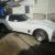 1981 Chevrolet Corvette