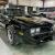 1978 Pontiac Trans Am Numbers Matching