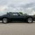 1980 Pontiac Trans Am 4.9L-V8, Auto, 29k Miles, Fisher T-Tops, Black
