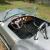 1965 Ford cobra