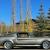 1967 Ford Mustang ELEANOR TRIBUTE EDITION