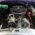 1951 Chevrolet Bel Air/150/210