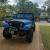 1984 Jeep Renegade