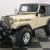 1981 Jeep CJ Renegade