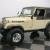1981 Jeep CJ Renegade
