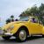 1965 Volkswagen Beetle - Classic REBUILT MOTOR, NEW INTERIOR
