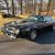 1976 Pontiac Trans Am Special Edition