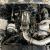 1979 Pontiac Firebird - TRANS AM - SUPERCHARGED LT-1 - SEE VIDEO