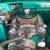  Ford XB UTE 351 V8 