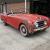  1952 Nash Healey Roadster 