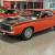 Galoen Gofier Certified AAR Cuda