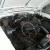  57 Chevrolet Belair Hotrod Impala Mustang Collector Restorer Muscle Trade Swap 