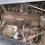 1933 Packard 1002 Victoria Coupe in Original Barn Find Condition NO RESERVE