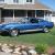 1968 Ford Shelby Cobra GT500 Fastback.  1 of 6.  Rare. Look!