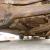  1946 Buick super eight sedanette all original for V8 restore hotrod 