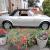  1973 FIAT 124 SPIDER CONVERTIBLE - RESTORED AND STUNNING 